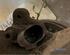 Stub Axle AUDI A3 (8L1)