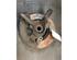 Stub Axle FIAT DOBLO MPV (119_, 223_), FIAT DOBLO Box Body/MPV (223_)