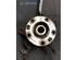 Stub Axle RENAULT KANGOO Express (FW0/1_), RENAULT KANGOO / GRAND KANGOO (KW0/1_)