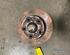 Stub Axle IVECO DAILY III Van, IVECO DAILY III Platform/Chassis, IVECO DAILY III Bus, IVECO DAILY IV Van