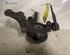 Stub Axle RENAULT KANGOO (KC0/1_)