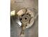 Stub Axle RENAULT KANGOO Express (FW0/1_), RENAULT KANGOO / GRAND KANGOO (KW0/1_)