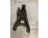 Track Control Arm RENAULT KANGOO (KC0/1_)