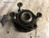 Wheel Hub AUDI A6 (4F2, C6)