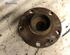 Wheel Hub AUDI A6 (4F2, C6)