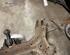 Front Axle Bracket MAZDA 2 (DE_, DH_)