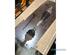 Drive Shaft RENAULT VEL SATIS (BJ0_)