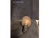 Drive Shaft OPEL VECTRA B (J96)