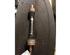 Drive Shaft FIAT STILO (192_)