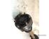 Drive Shaft VW POLO (6N1)