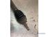 Drive Shaft RENAULT MEGANE Scenic (JA0/1_)