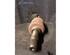 Drive Shaft ROVER 25 Hatchback (RF)