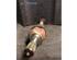 Drive Shaft NISSAN NOTE (E11, NE11)