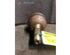 Drive Shaft PEUGEOT 205 II (20A/C), BMW 5 (E39)