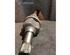 Drive Shaft PEUGEOT 206 Hatchback (2A/C)