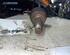 Drive Shaft FORD FIESTA IV (JA_, JB_)