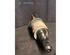 Drive Shaft SUBARU LEGACY III Estate (BH)