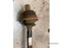 Drive Shaft AUDI A6 (4F2, C6)