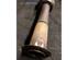 Drive Shaft RENAULT GRAND SCÉNIC II (JM0/1_), RENAULT SCÉNIC II (JM0/1_)