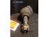 Drive Shaft RENAULT CLIO III (BR0/1, CR0/1)