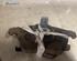 Brake Shoe Set SAAB 9-3 (YS3D)