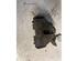 Brake Caliper SEAT EXEO (3R2)