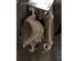 Brake Caliper HYUNDAI H100 Bus (P), HYUNDAI H-1 / STAREX Bus (A1)