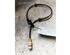 Wheel Speed Sensor RENAULT KANGOO Express (FC0/1_)