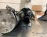 Starter SKODA FABIA I (6Y2)