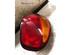 Combination Rearlight CHEVROLET MATIZ (M200, M250), DAEWOO MATIZ (M100, M150)