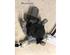 Electric Window Lift Motor RENAULT CLIO II (BB_, CB_), RENAULT THALIA I (LB_), RENAULT CLIO III (BR0/1, CR0/1)