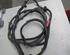 Wiring Harness AUDI A4 Avant (8K5, B8)