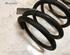 Coil Spring LAND ROVER DISCOVERY II (L318)