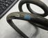 Coil Spring NISSAN QASHQAI / QASHQAI +2 I (J10, NJ10, JJ10E)