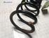 Coil Spring FIAT PANDA (169_), FIAT PANDA Hatchback Van (169_)