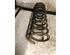 Coil Spring LADA NOVA (2105), LADA 1200-1600, LADA SAMARA (2108, 2109, 2113, 2114)