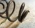 Coil Spring RENAULT TWINGO II (CN0_)