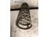 Coil Spring LADA NOVA (2105), LADA 1200-1600, LADA SAMARA (2108, 2109, 2113, 2114)