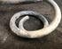 Coil Spring VW GOLF IV Variant (1J5)