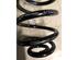 Coil Spring BMW 3 (E46)