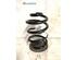 Coil Spring BMW 3 (E46)