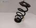 Coil Spring TESLA MODEL 3 (5YJ3)