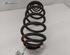 Coil Spring RENAULT KANGOO Express (FW0/1_), RENAULT KANGOO / GRAND KANGOO (KW0/1_)