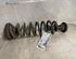 Coil Spring RENAULT GRAND SCÉNIC II (JM0/1_), RENAULT SCÉNIC II (JM0/1_)