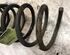 Coil Spring LAND ROVER FREELANDER (L314), LAND ROVER FREELANDER Soft Top (L314)