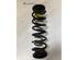 Coil Spring VW PASSAT ALLTRACK B7 (365), VW PASSAT B7 Variant (365)