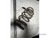 Coil Spring FIAT PUNTO (176_), FIAT PUNTO Van (176_)