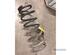 Coil Spring SUZUKI ALTO V (HA12, HA23), SUZUKI ALTO (EF)