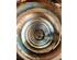 Coil Spring MERCEDES-BENZ SPRINTER 3-t Van (906)