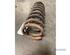 Coil Spring MERCEDES-BENZ /8 (W114), MERCEDES-BENZ /8 (W115)